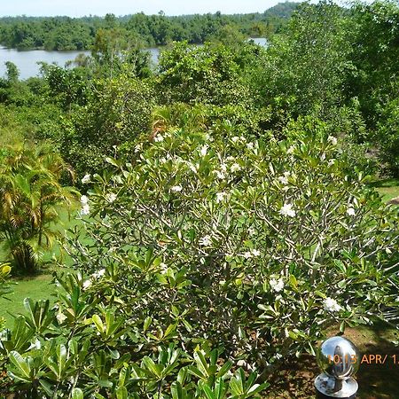 Sobaco Nature Resort Bentota Extérieur photo