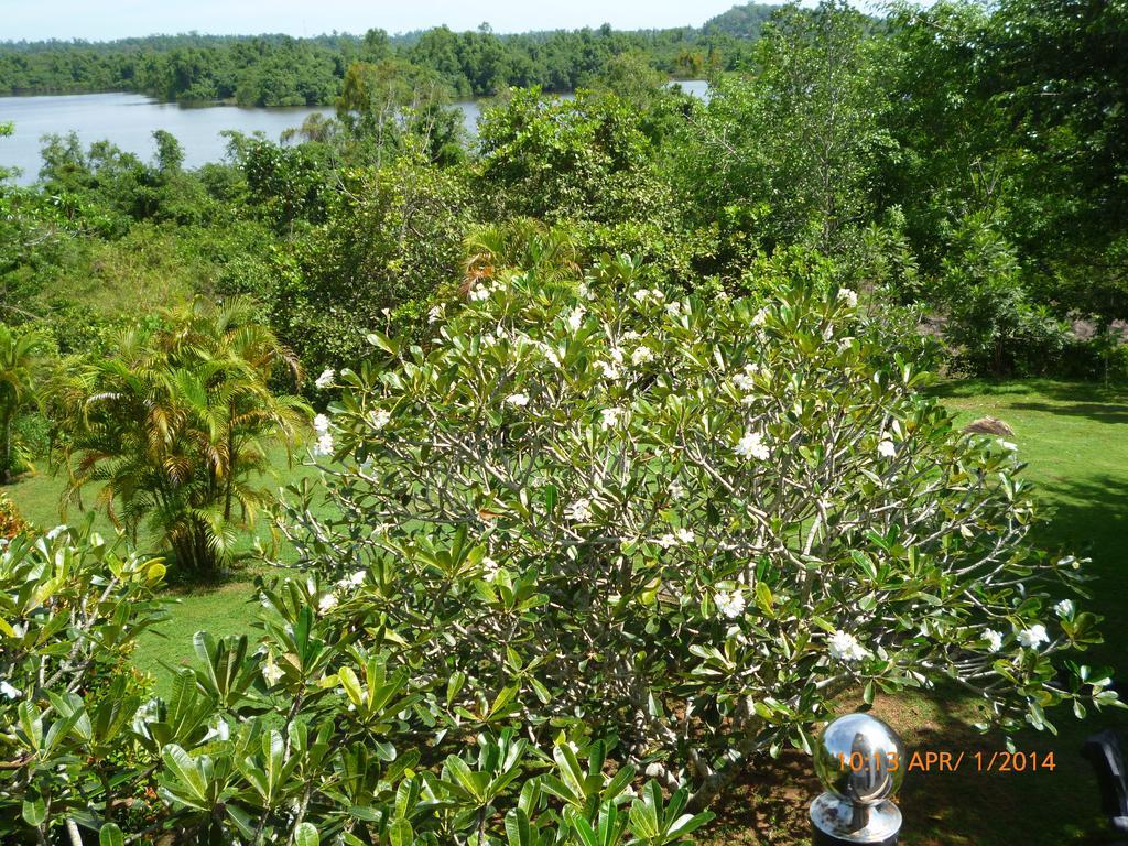 Sobaco Nature Resort Bentota Extérieur photo