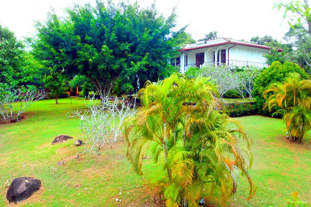 Sobaco Nature Resort Bentota Extérieur photo