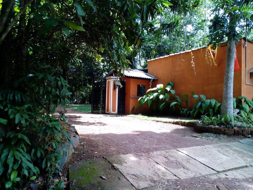 Sobaco Nature Resort Bentota Extérieur photo
