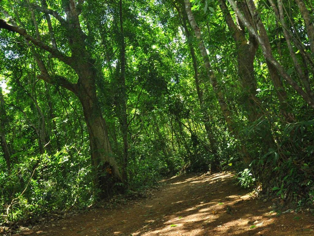 Sobaco Nature Resort Bentota Extérieur photo